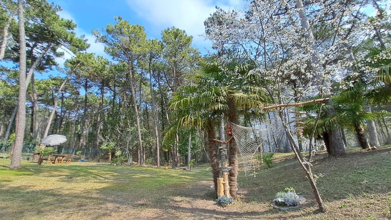 Villa Barbara Fra I Pini Lignano Sabbiadoro Esterno foto